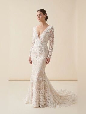 Elegant Ivory Lace Gown with Champaign Lining
